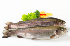 Рыба Морепродукты