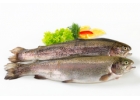 Рыба Морепродукты